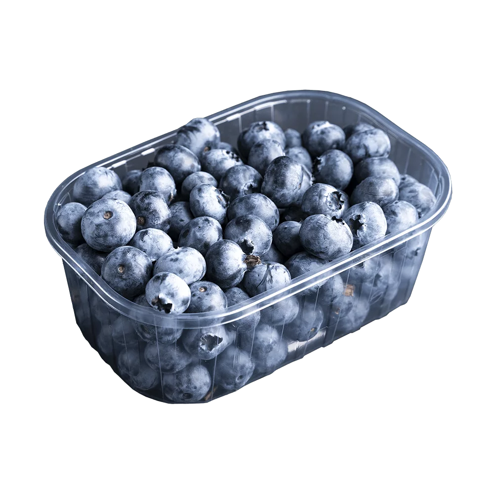 Borówka amerykańska 125g